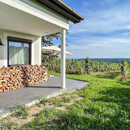 Schoenes Ferienhaus Eisenberg Eisenberg an der Pinka Exterior foto