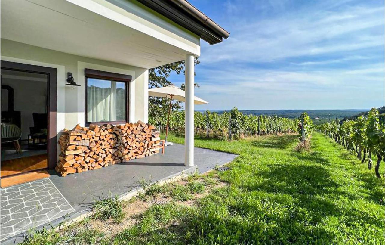 Schoenes Ferienhaus Eisenberg Eisenberg an der Pinka Exterior foto