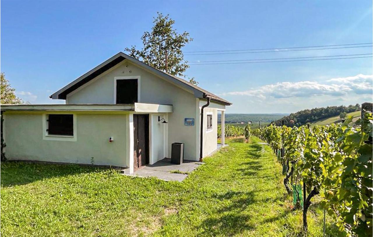Schoenes Ferienhaus Eisenberg Eisenberg an der Pinka Exterior foto